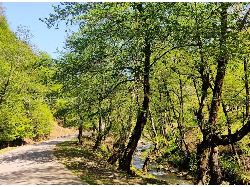 عکس شماره 848807 - اجاره ویلا کنار رودخانه ماسال شالما -