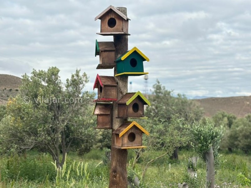 عکس شماره 849013 - اجاره کلبه چوبی در منجیل گیلان - 