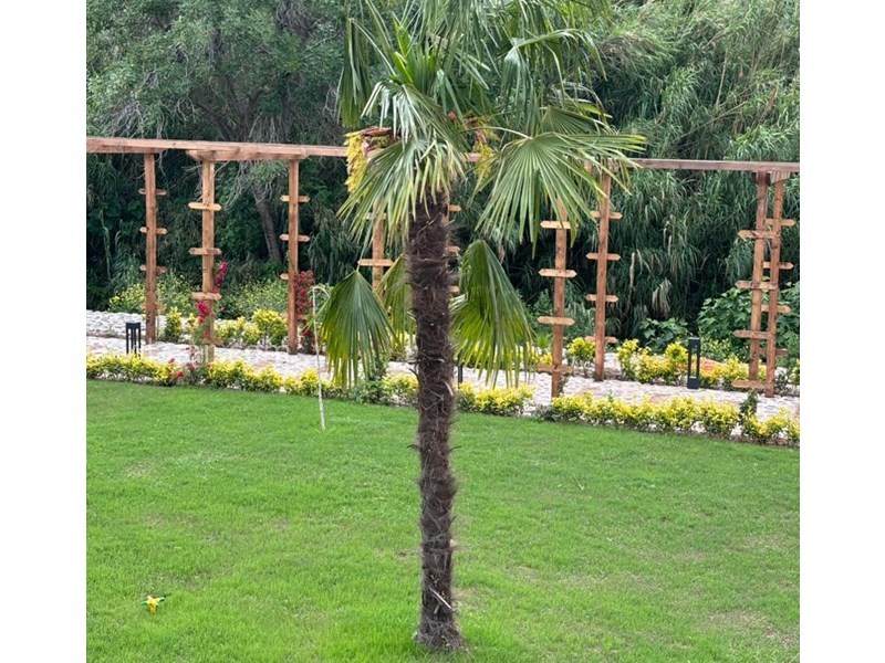 عکس شماره 849016 - اجاره کلبه چوبی در منجیل گیلان - 