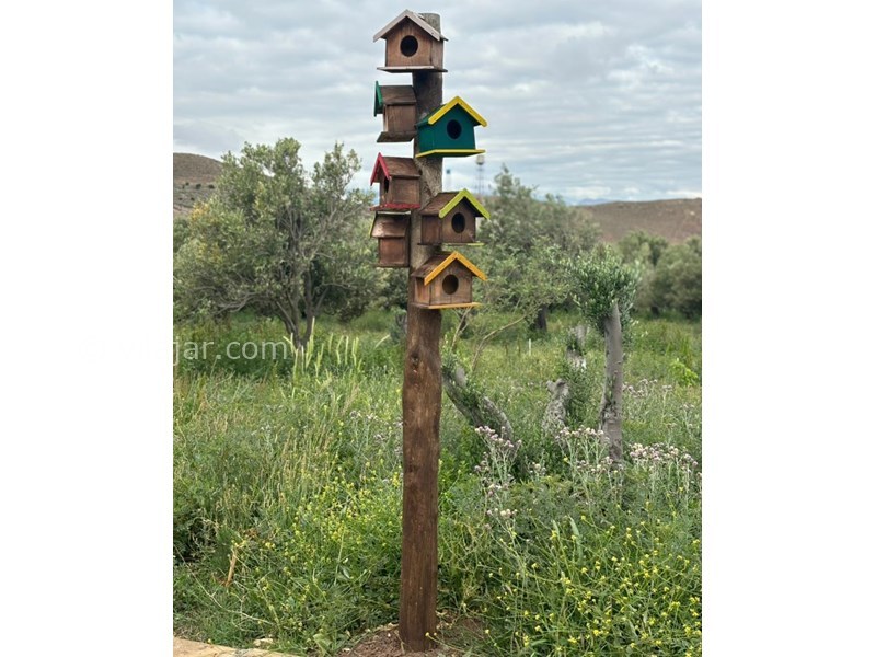 عکس شماره 849033 - اجاره کلبه چوبی در منجیل گیلان - 