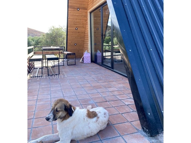 عکس شماره 849035 - اجاره کلبه چوبی در منجیل گیلان - 