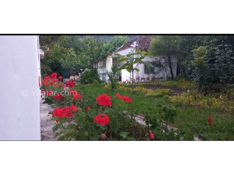 عکس شماره 849128 - اقامتگاه بومگردی بهارنارنج چوبر - 