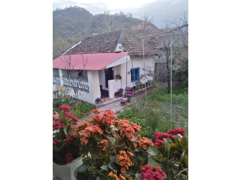 عکس شماره 849129 - اقامتگاه بومگردی بهارنارنج چوبر - 