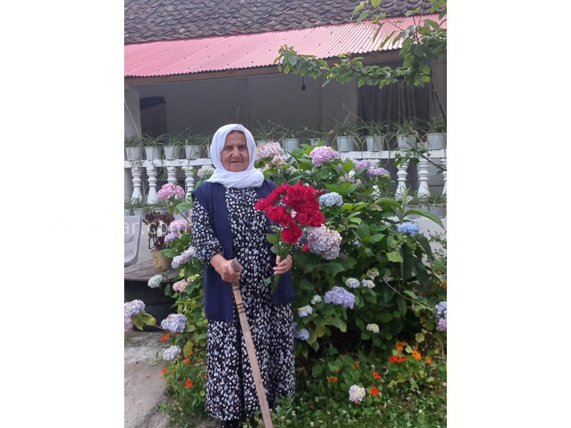 عکس شماره 849142 - اقامتگاه بومگردی بهارنارنج چوبر - 