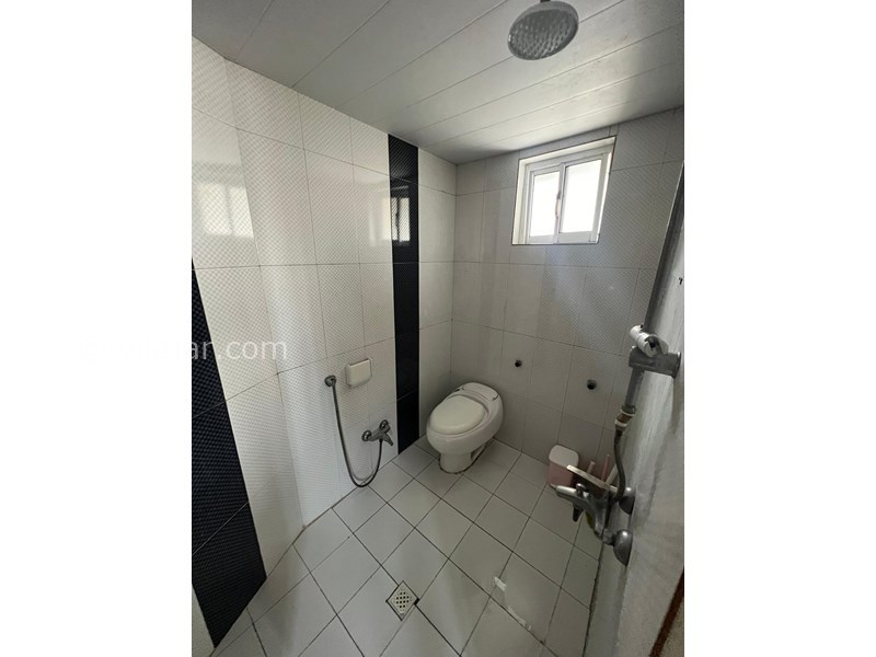 عکس شماره 849665 - اجاره ویلا جنگلی در رامسر - 