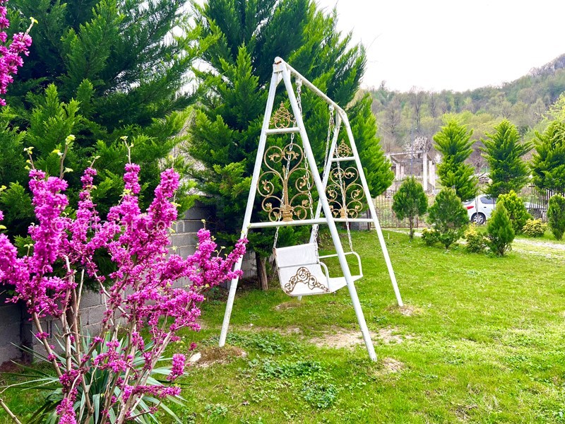 عکس شماره 849896 - ویلا باغ در طبیعت بکر ماسال - 