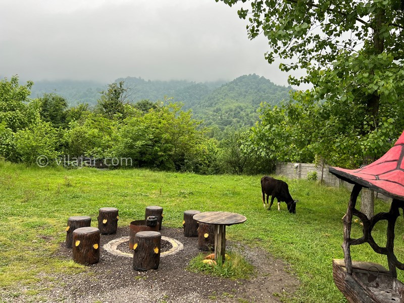 عکس شماره 850038 - ویلا باغ در طبیعت بکر ماسال - 