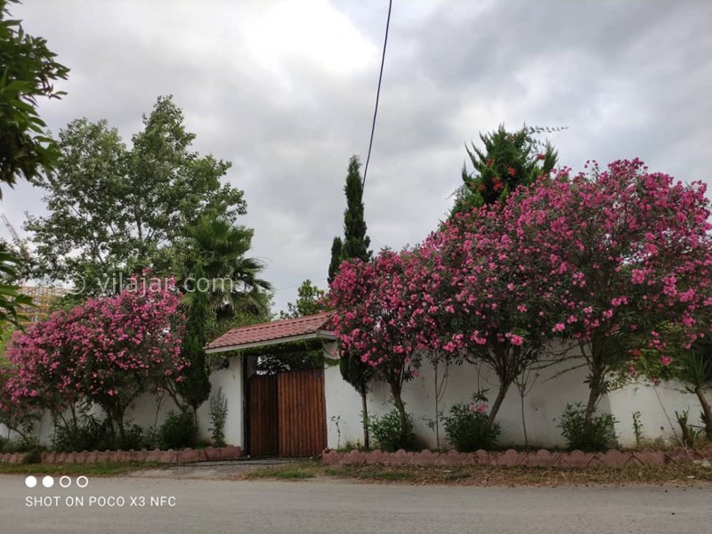 عکس شماره 850215 - ویلا با استخر چهارفصل محمودآباد - 