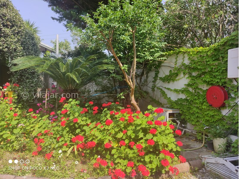 عکس شماره 850216 - ویلا با استخر چهارفصل محمودآباد - 