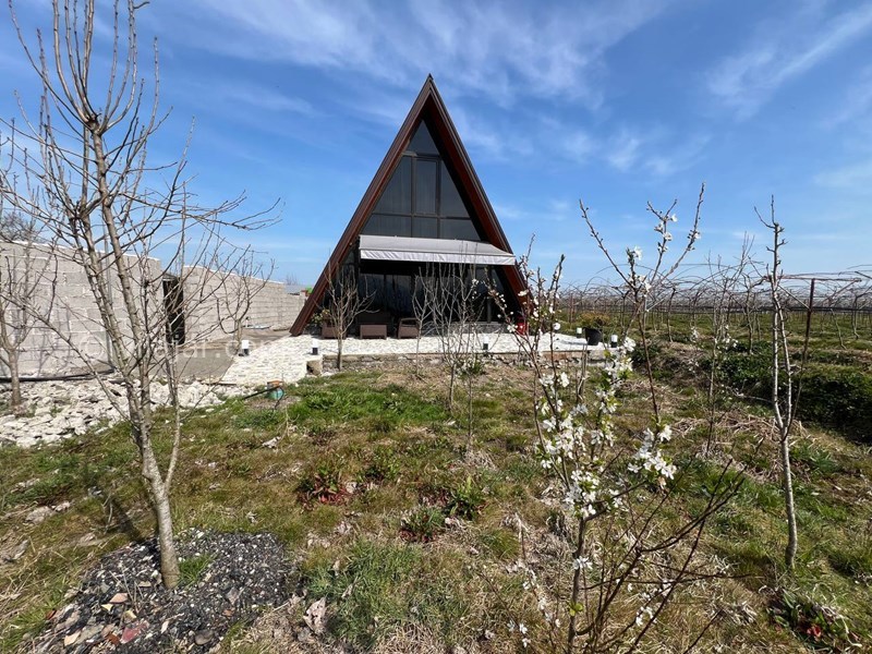 عکس شماره 850572 - اجاره کلبه چوبی در تالش پره سر - 