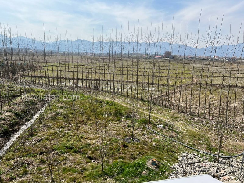 عکس شماره 850576 - اجاره کلبه چوبی در تالش پره سر - 