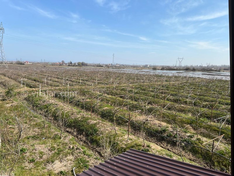 عکس شماره 850577 - اجاره کلبه چوبی در تالش پره سر - 