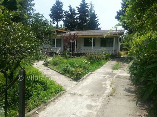 عکس شماره 85117 - ویلا اجاره ای دربست در رامسر - 