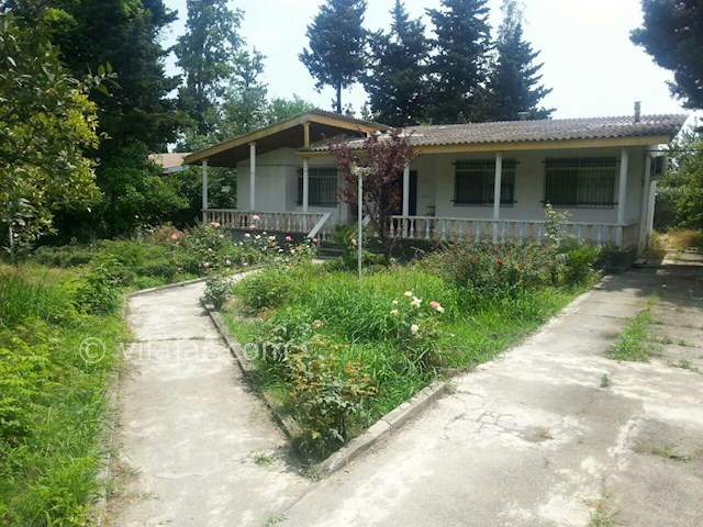 عکس شماره 85135 - ویلا اجاره ای دربست در رامسر - 