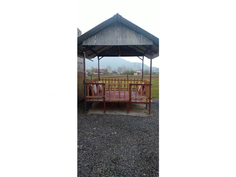 عکس شماره 851651 - اجاره ویلا در ماسال - 