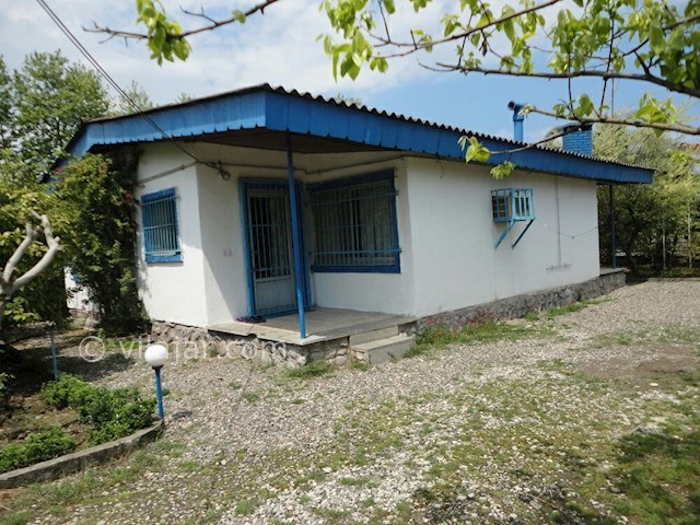 عکس شماره 85169 - اجاره ویلای ساحلی دربست - 