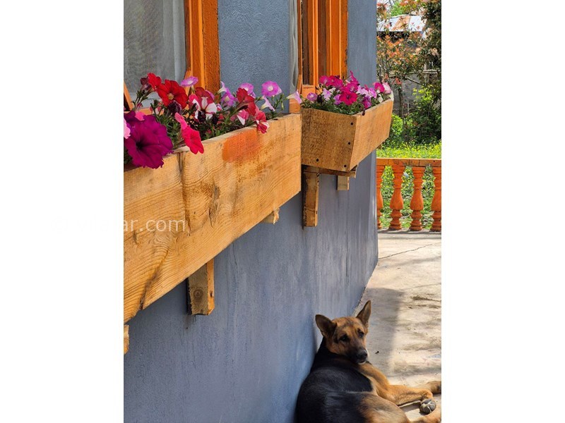 عکس شماره 851958 - اجاره خانه ویلایی نزدیک ماسوله -