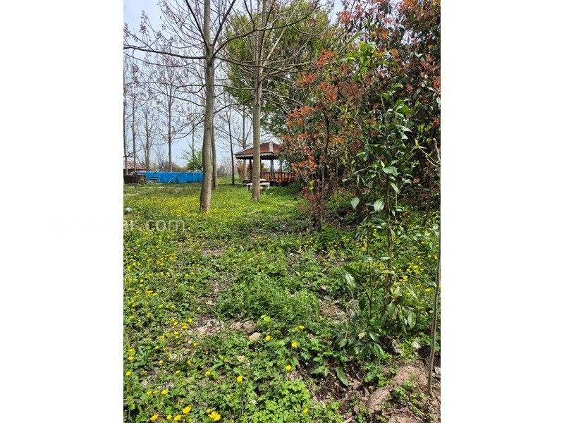 عکس شماره 851969 - اجاره خانه ویلایی نزدیک ماسوله -