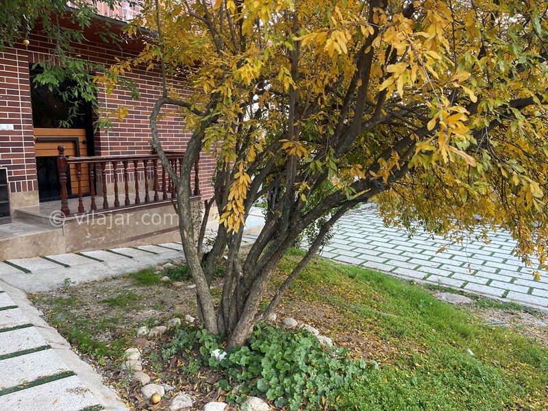 عکس شماره 852240 - اجاره ویلا جنگلی در بهشهر - 