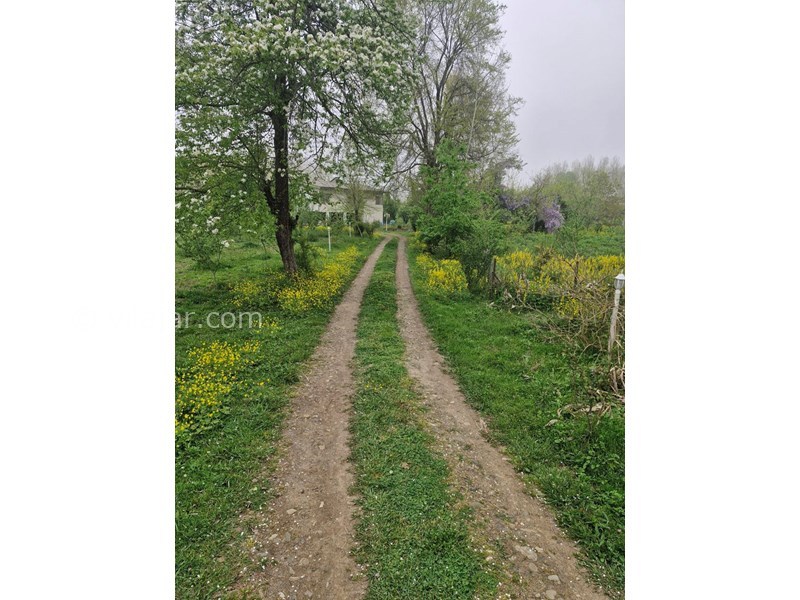 عکس شماره 852699 - اجاره کلبه چوبی در رضوانشهر گیلان - ورودی باغ اقامتگاه