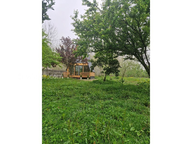 عکس شماره 852704 - اجاره کلبه چوبی در رضوانشهر گیلان - منظره کلبه در باغ و میان درختان میوه