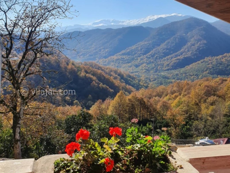 عکس شماره 852787 - ویلا جنگلی با استخر جکوزی رامسر - 