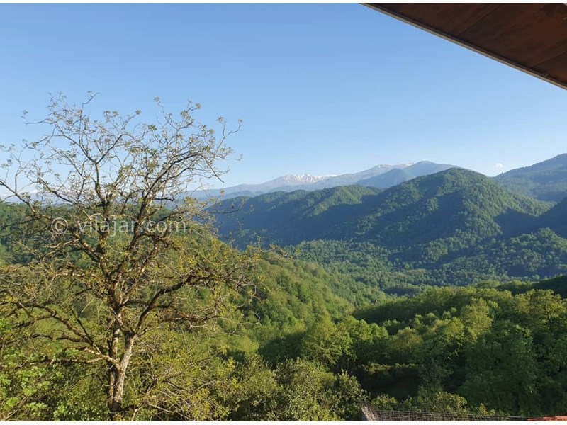 عکس شماره 852798 - ویلا جنگلی با استخر جکوزی رامسر - 