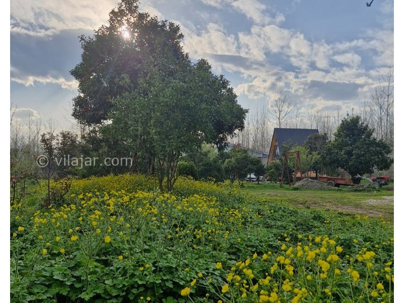 عکس شماره 853008 - اجاره کلبه چوبی در رضوانشهر گیلان - 