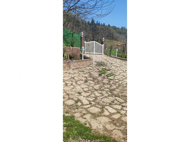 عکس شماره 853422 - اجاره ویلا در ماسال جنگلی - 