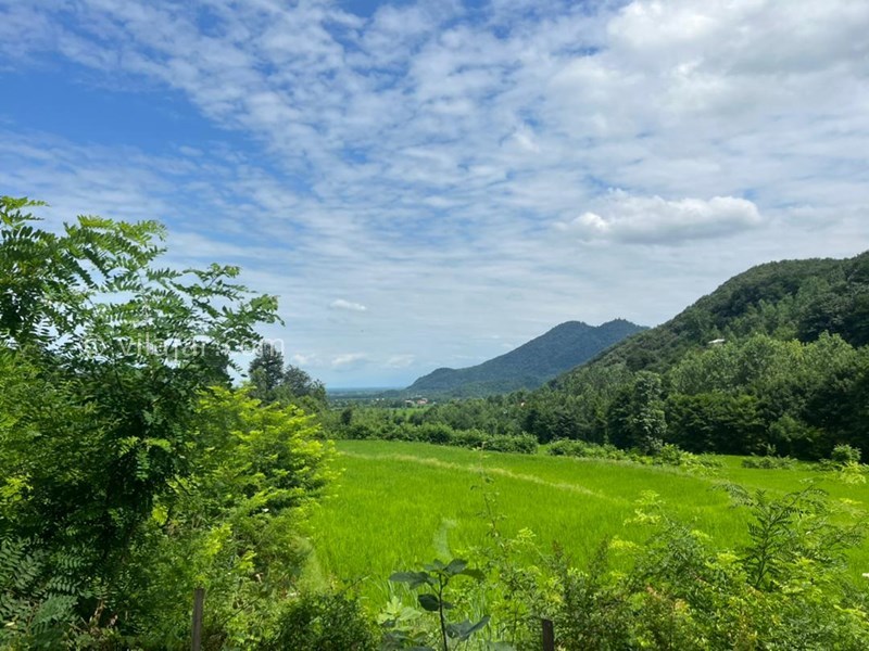 عکس شماره 853427 - اجاره ویلا در ماسال جنگلی - 