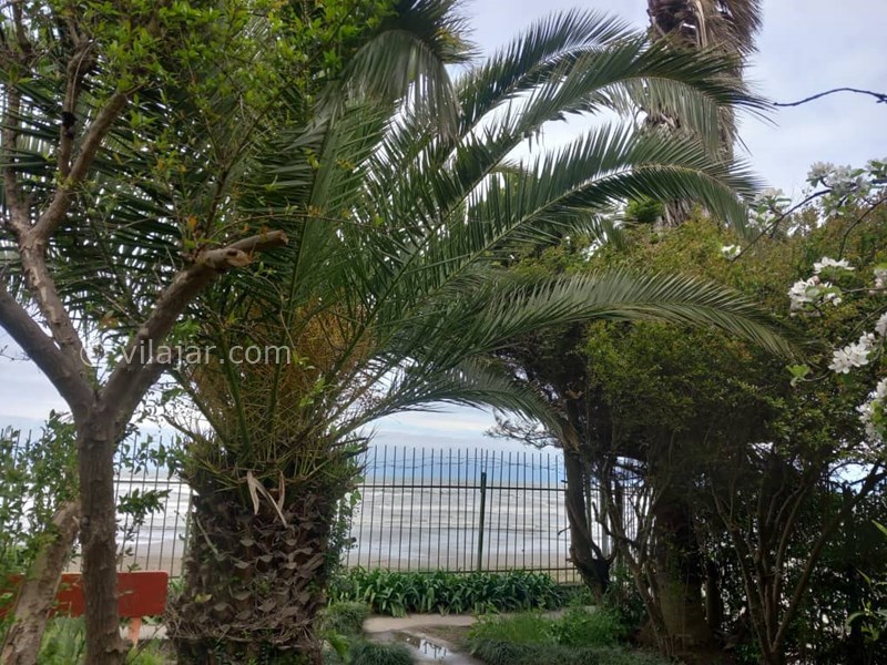 عکس شماره 853587 - اجاره ویلا لب دریا محمود آباد - 