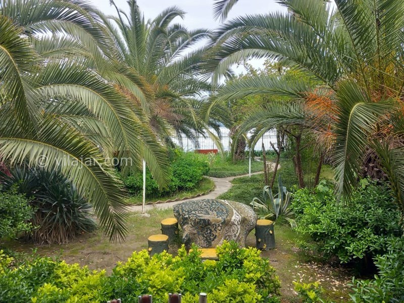 عکس شماره 853595 - اجاره ویلا لب دریا محمود آباد - 