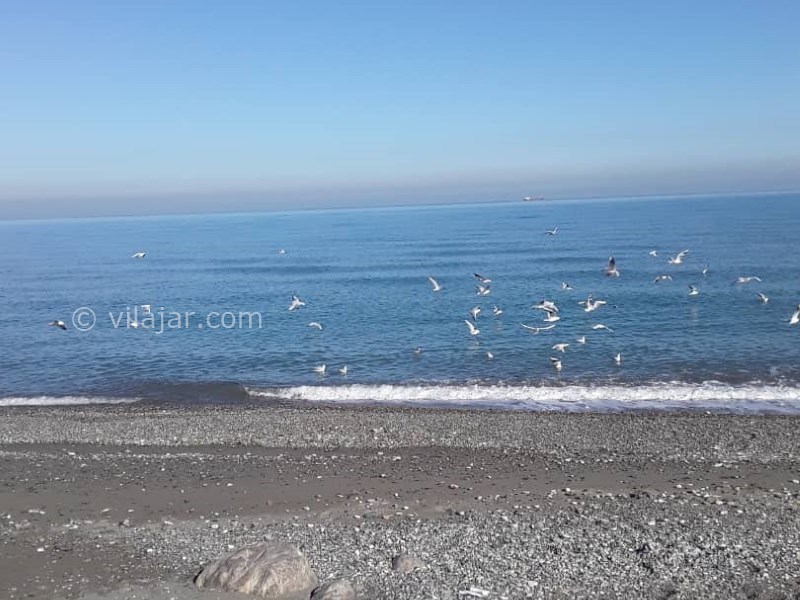 عکس شماره 853946 - اجاره ویلا لب دریا در نوشهر - 