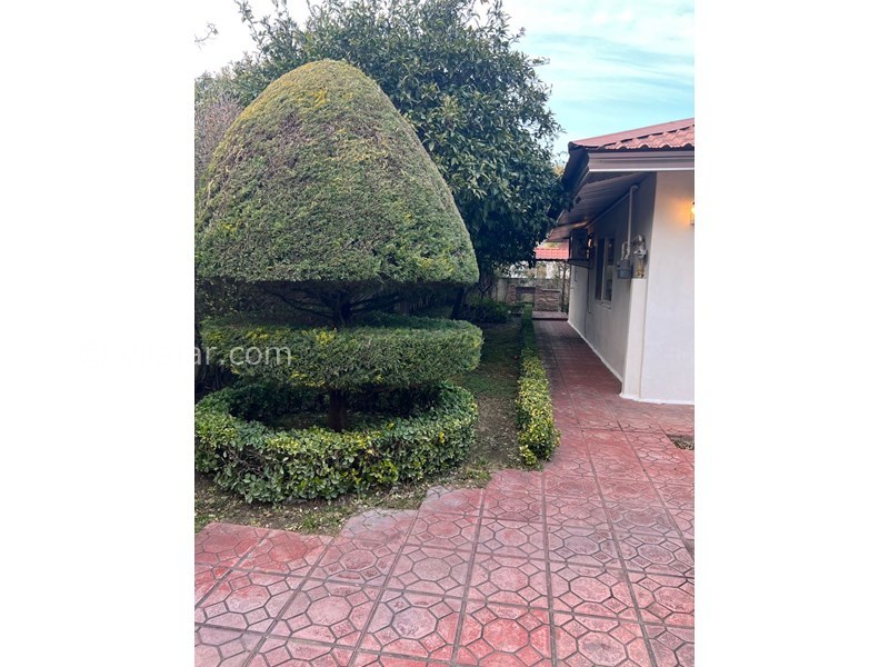 عکس شماره 854058 - اجاره ویلا ساحلی در دریاکنار - 