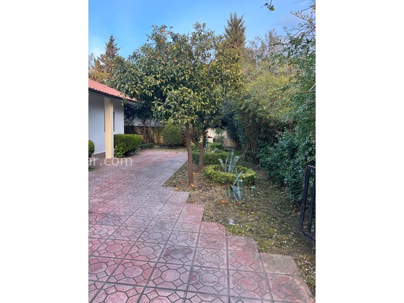 عکس شماره 854072 - اجاره ویلا ساحلی در دریاکنار - 