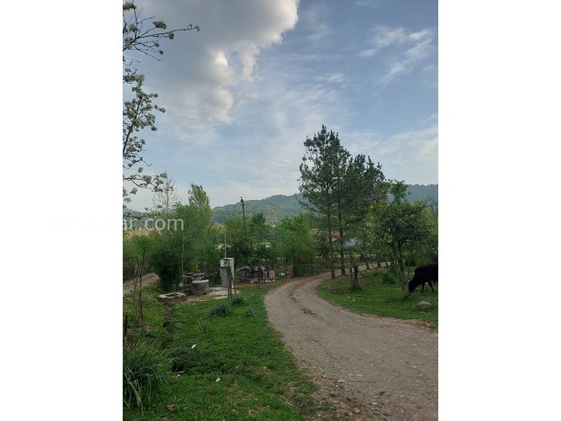 عکس شماره 855204 - اجاره ویلا جنگلی نزدیک فومن شولم - 