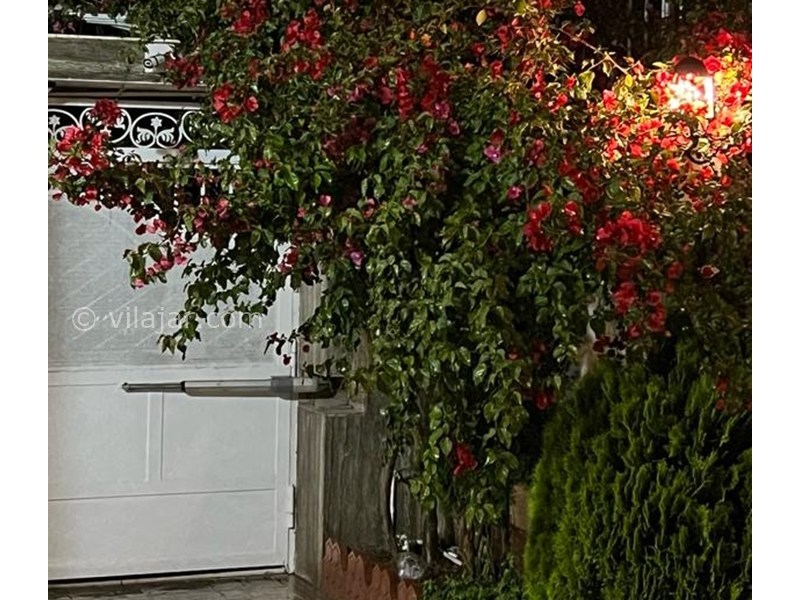 عکس شماره 855409 - ویلا در زیباکنار با استخر و بیلیارد - 