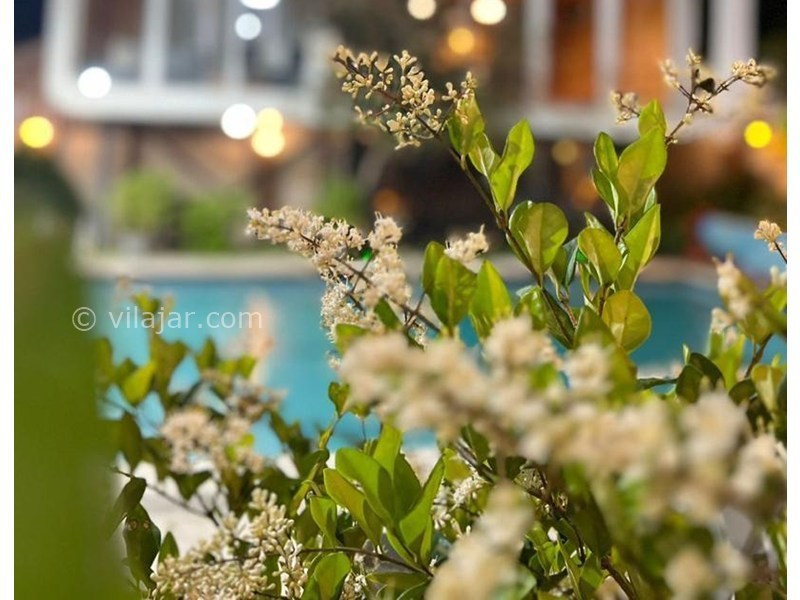 عکس شماره 855418 - ویلا در زیباکنار با استخر و بیلیارد - 