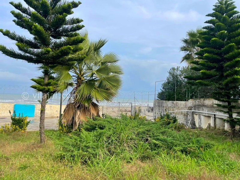 عکس شماره 855449 - اجاره ویلا لب دریا متل قو استخردار - لب دریا