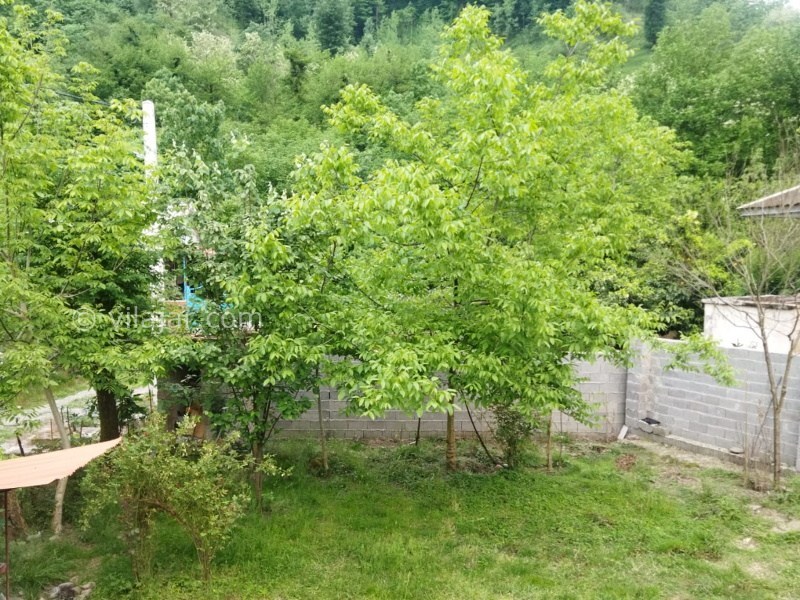 عکس شماره 855553 - اجاره اقامتگاه در قلعه رودخان -