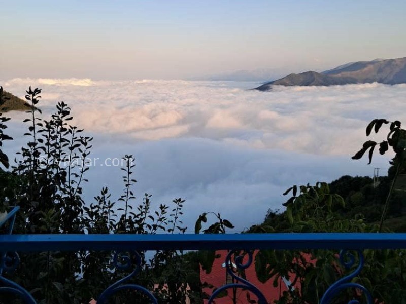 عکس شماره 855843 - اجاره اقامتگاه رامسر جنگل دالخانی - 