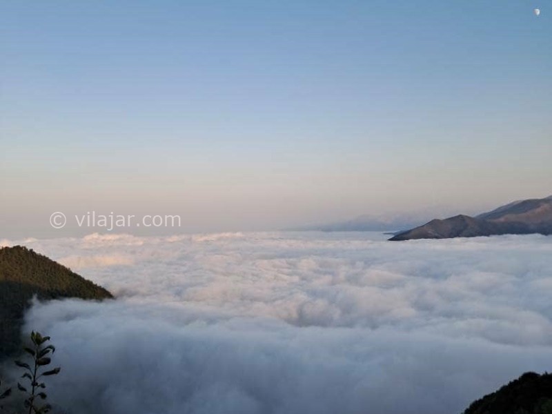 عکس شماره 855844 - اجاره اقامتگاه رامسر جنگل دالخانی - 