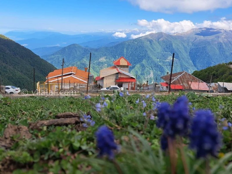 عکس شماره 855848 - اجاره اقامتگاه رامسر جنگل دالخانی - 