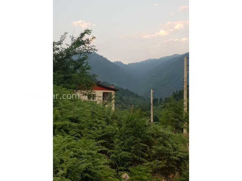 عکس شماره 855976 - اجاره ویلا جنگلی در ماسال شالما - 