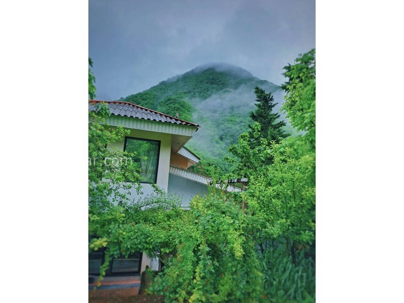 عکس شماره 856455 - ویلا ییلاقی جنگلی در جاده دوهزار -