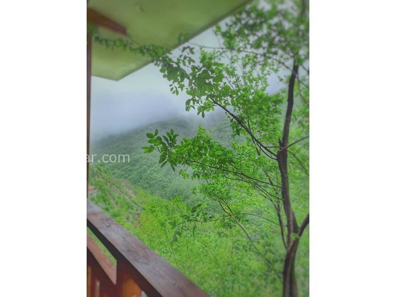 عکس شماره 856462 - ویلا ییلاقی جنگلی در جاده دوهزار -