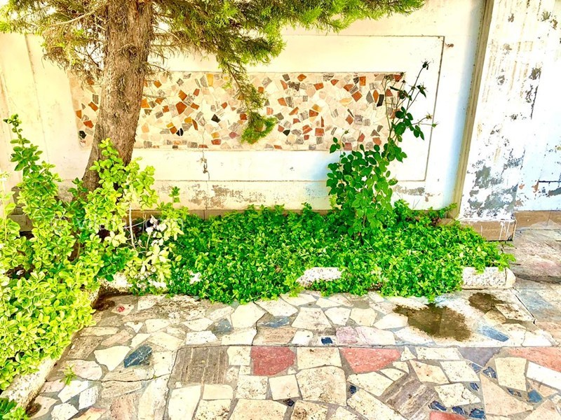 عکس شماره 856901 - اجاره ویلا در بابلسر صفاییه -