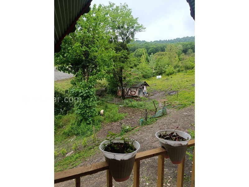 عکس شماره 857158 - اجاره کلبه چوبی جنگلی ماسال - 