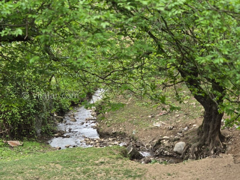 عکس شماره 857308 - اجاره ویلا در سوادکوه نزدیک فریم - 