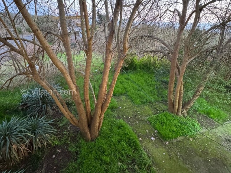 عکس شماره 857551 - اجاره ویلا خط ساحلی چمخاله - 